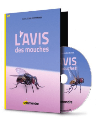 L'avis des mouches