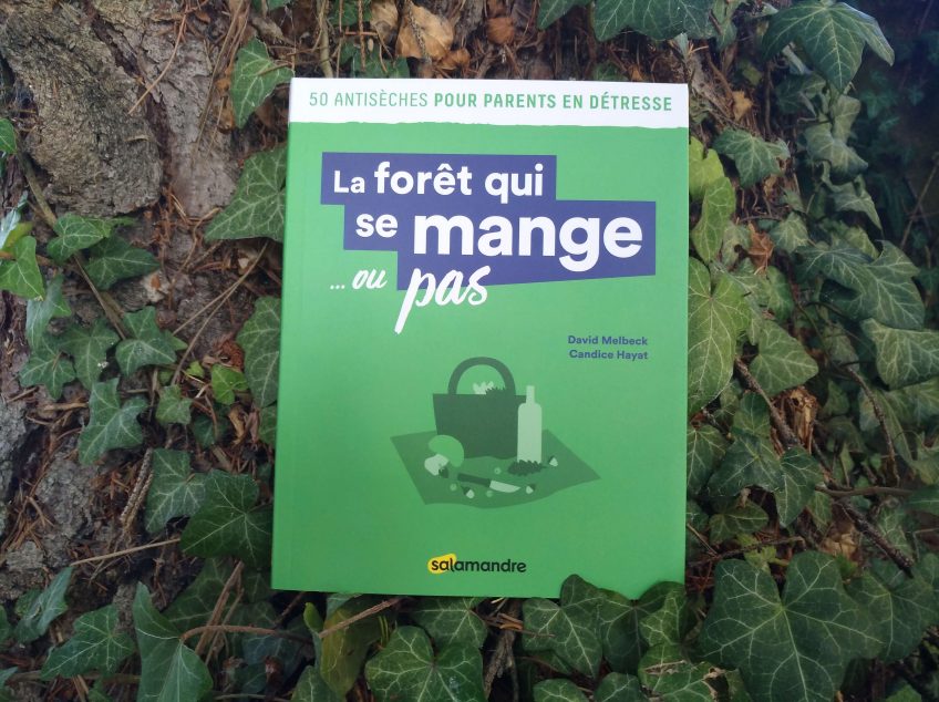 La forêt qui se mange champignons