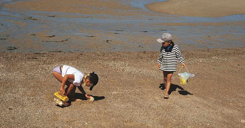 Les grains de sable se répartissent sur la plage en fonction de leur taille et de leur poids : sables grossiers en haut, sables fins en bas. Les coloris dépendent directement des types de coquillages qui y sont incorporés. Les dons de la marée - La Salamandre
