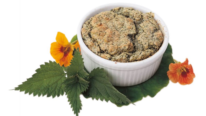 Soufflé à l'ortie Recette à base d'orties - La Salamandre