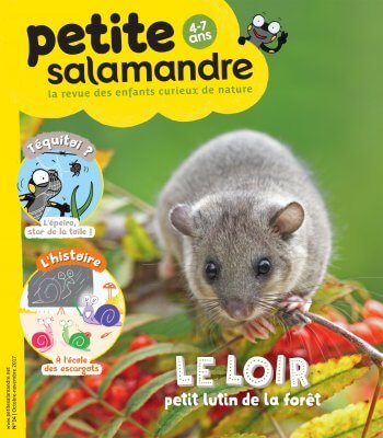 Couverture de La Petite Salamandre n°14