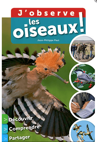 Jeu de pistes au bord de l'eau - La Salamandre