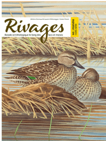 Jeu de pistes au bord de l'eau - La Salamandre