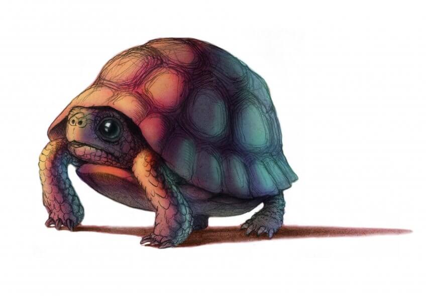 Quand la flamme passe, les incendies sont-ils un drame pour la nature ? - La Salamandre