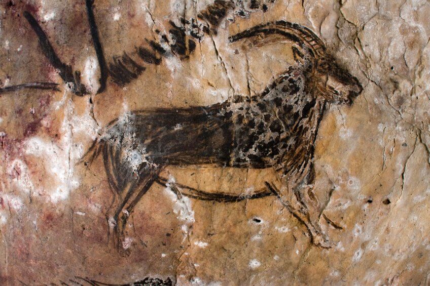 Bouquetin des Pyrénées daté de - 13 000 ans, Grotte de Niaux (Ariège) Balade en Ariège - La Salamandre