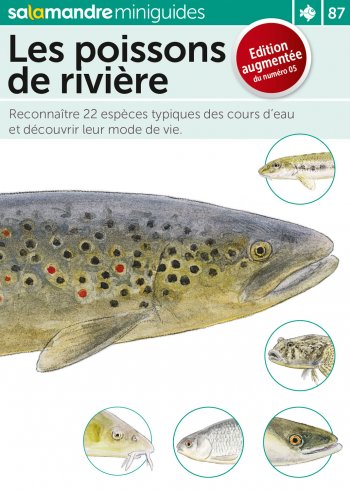 Miniguide : Les poissons de rivière - La Salamandre