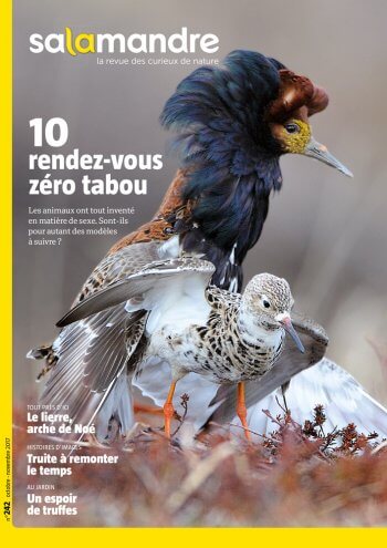 10 rendez-vous zéro tabou, la Salamandre n°242 10 leçons de reproduction - La Salamandre