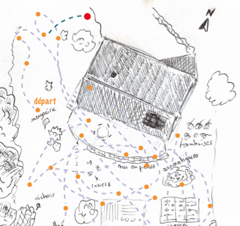 Etape n° 37 de Mon voyage au jardin. Biodiversité ou bonne bouffe - La Salamandre