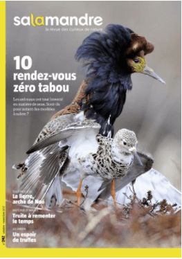 La Salamandre n° 242 10 rendez-vous zéro tabou