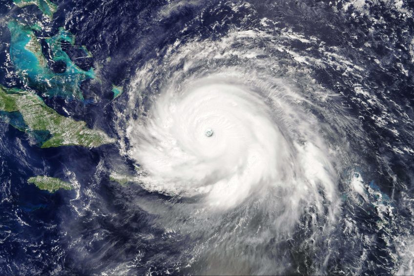 L'impact des ouragans sur la biodiversité - La Salamandre