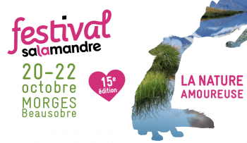 Tous au Festival Salamandre - La Salamandre