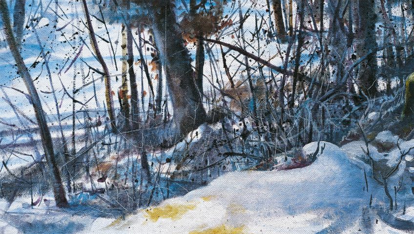 L’heure du départ pour le rougegorge - La Salamandre