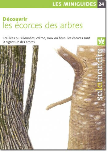 Miniguide 24 : Découvrir les écorces des arbres. Le rituel du bouleau - La Salamandre