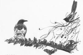 Sur le quai de la gare, j'aperçois en face les mouvements nerveux de deux pies qui jacassent au sommet d'un grand pin. Juste au dessous, posée au bout d'une branche, la corneille ne bouge pas. Les pies n'apprécient pas cette grande cousine et font ce qu'elles peuvent pour l'empêcher d'approcher du nid. La Baule, 29 juin 2015, barre de graphite sur papier Canson.