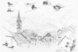 On la retrouve partout, ou presque. En montagne, la pie peut nicher dans les hautes vallées, près des villages en particulier. Le Monetier-les-bains (1500 m d'altitude), 27 juin 2017, crayon graphite sur papier Canson.