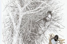 Construction d'un gros nid en phase terminale... A moins qu'une tempête printanière n’oblige les oiseaux à consolider l'ouvrage ou les pousse à en construire un autre. Nantes, 13 mars 2015, crayon graphite et aquarelle sur papier Canson.