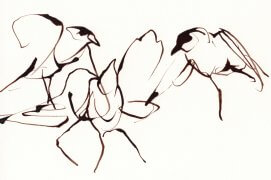 Tandis que l'adulte prospecte activement la pelouse pour nourrir sa progéniture les jeunes s'amusent, se taquinent, tracent dans l'espace des virevoltes magnifiques. Impressions fugaces ; petits croquis rapides repris à l'encre brune et à main levée pour retrouver cette fluidité. La Salamandre l'a choisi pour illustrer la couverture du no. 243 - L'affaire pie bavarde. Nantes, 14 juin 2015.