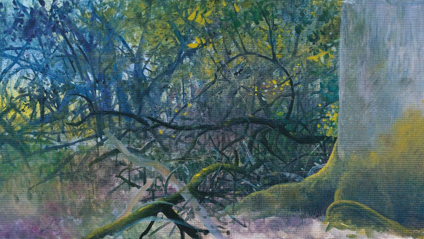 Plumes et bains de rougegorge - La Salamandre