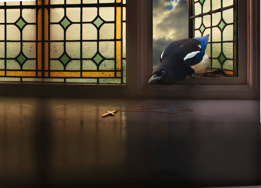 Accusée, levez-vous ! - La Salamandre