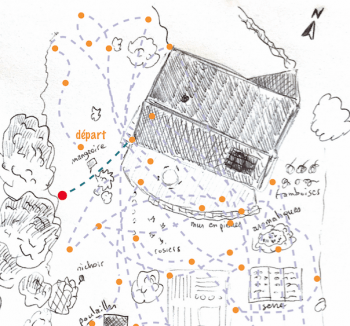 Etape n° 41 de Mon voyage au jardin. La grive survivante - La Salamandre