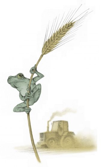 Il y a 150 ans mourait le Grand Marais - La Salamandre