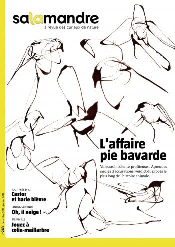 Couverture de La Salamandre n°243