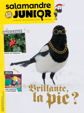 Couverture de La Salamandre Junior n°115