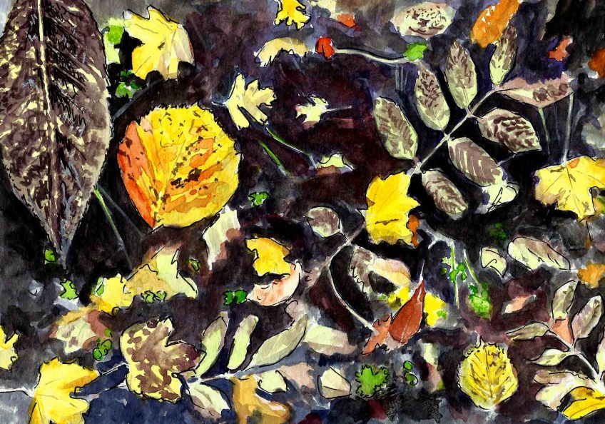 Retour à la terre pour les feuilles de la haie - La Salamandre