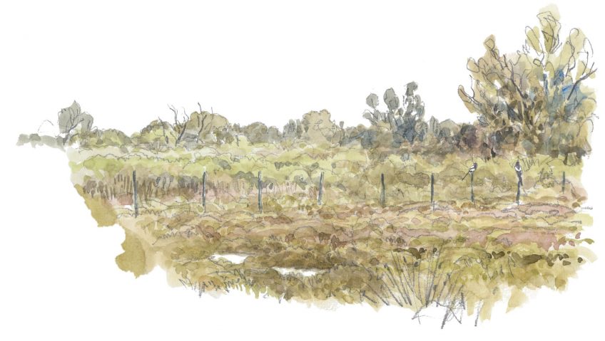 Guerre et pie - La Salamandre