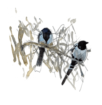 Guerre et pie - La Salamandre