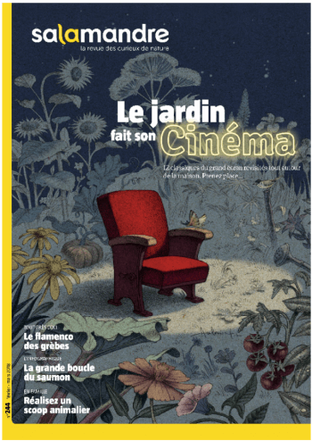 La Salamandre n° 245 couverture