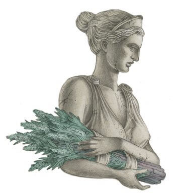Artémis Maudite Aphrodite - La Salamandre