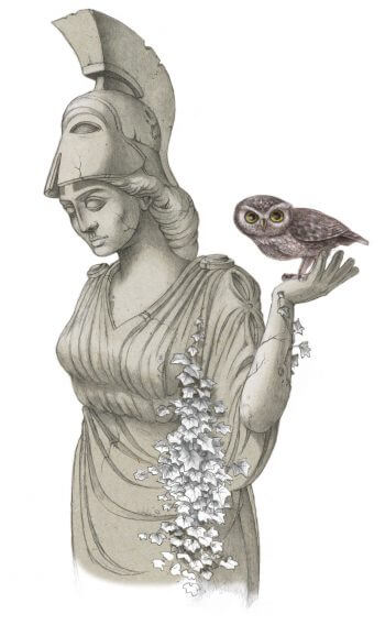 Athéna Maudite Aphrodite - La Salamandre
