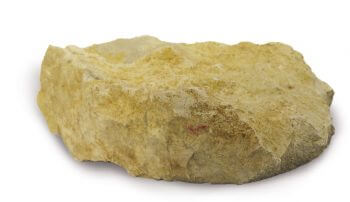 caillou du Kimméridgien Jurassique Park - La Salamandre