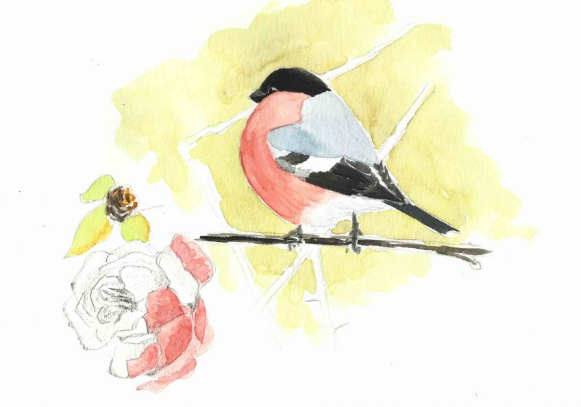 La vie en rose - La Salamandre