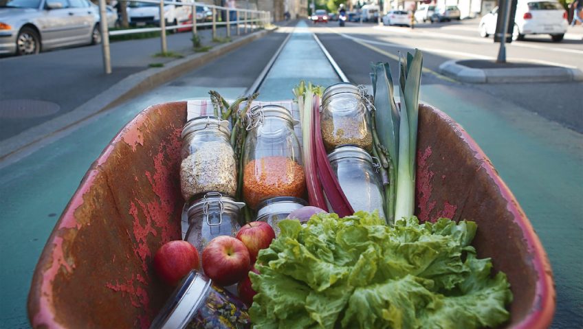 Du vert dans les assiettes lausannoises - La Salamandre