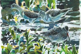 « Greenshanks and Spotted Redshank A small puddle, a perfect service station for these long distance migrants, a quick refuel and then onwards »
Chevaliers aboyeurs et arlequin Une petite flaque station-service, parfait pour le ravitaillement express de ces voyageurs au long cours.
Acrylique et collage, crayon de couleur, marqueur de Chine et crayon gras. / © Nick Derry