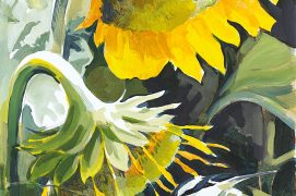 « Woodchat Shrikes Sunflowers past their best, and a disappearing species »
Pies-grièches à tête rousse Tournesols un peu fanés, oiseau en voie de disparition.
Acrylique. / © Nick Derry