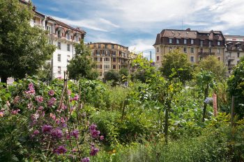 Jardin : Garden Party - La Salamandre