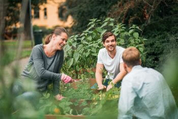 Jardin : Garden Party - La Salamandre