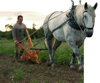 Nicolas Clouet
Agriculteur paysan, La Barre-de-Monts (Vendée) Paysan de nature - La Salamandre