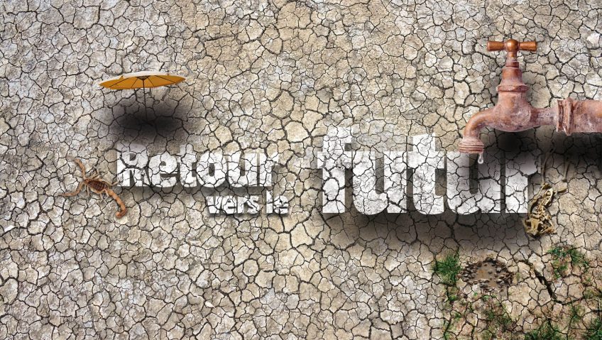 Economie d'eau : Retour vers le futur - La Salamandre