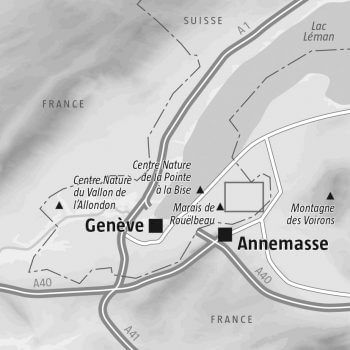Balade sur la terre du lièvre à Genève entre forêt, marais et vignoble