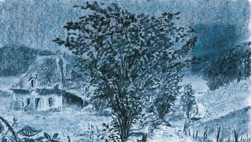 Muscardins, loirs et lérots, des coins pour eux. - La Salamandre