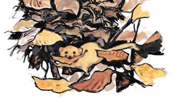 Le muscardin trouve en forêt tout ce qu’il faut pour construire son nid. Il lui arrive aussi de s’installer dans les marais : il coince alors ses boules d’herbes sèches entre les roseaux ou les touffes de joncs. Le muscardin trouve en forêt tout ce qu’il faut pour construire son nid. Il lui arrive aussi de s’installer dans les marais : il coince alors ses boules d’herbes sèches entre les roseaux ou les touffes de joncs.