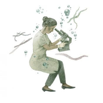 Cyanobactéries, des algues bleues pour un futur noir ? - La Salamandre