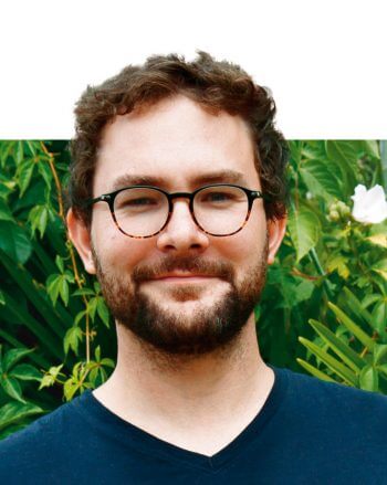 Une nouvelle espèce d'abeille exotique envahissante en France - La Salamandre