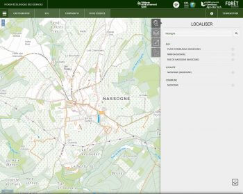Chacun sa place pour les arbres - La Salamandre