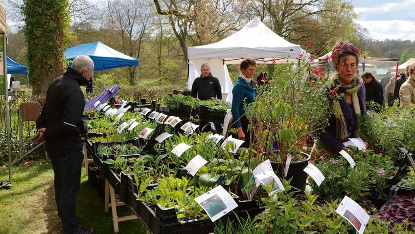 Un festival pour les plantes comestibles à Namur - La Salamandre