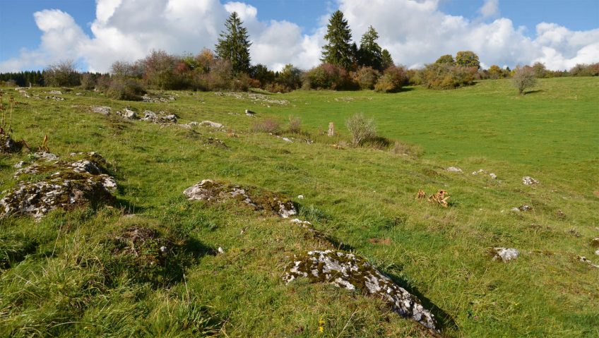 Non à la destruction du paysage jurassien par le casse-cailloux - La Salamandre